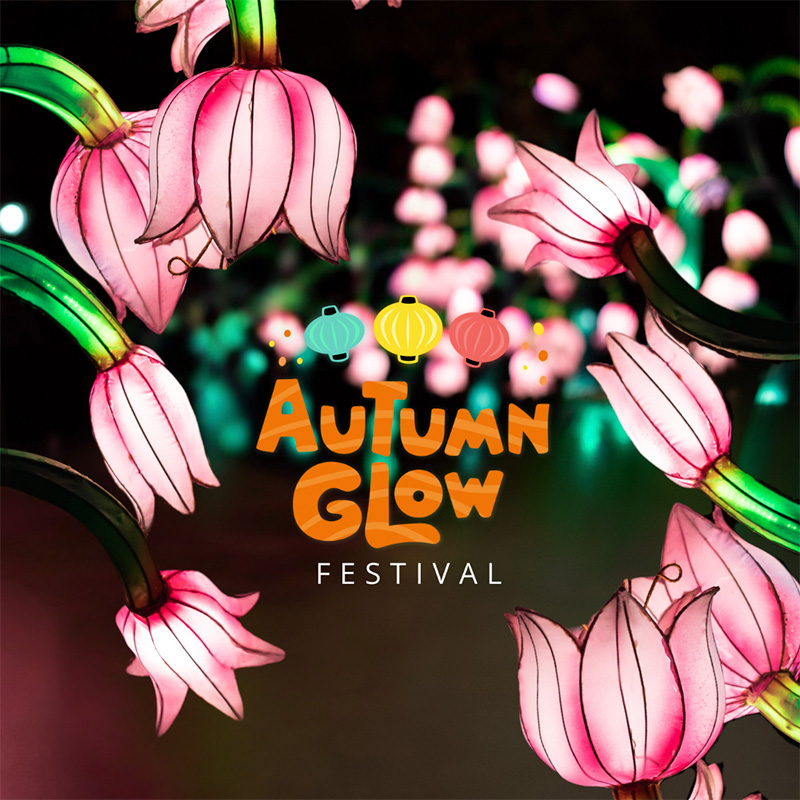 Autumn Glow Festival - New Rochelle, NY