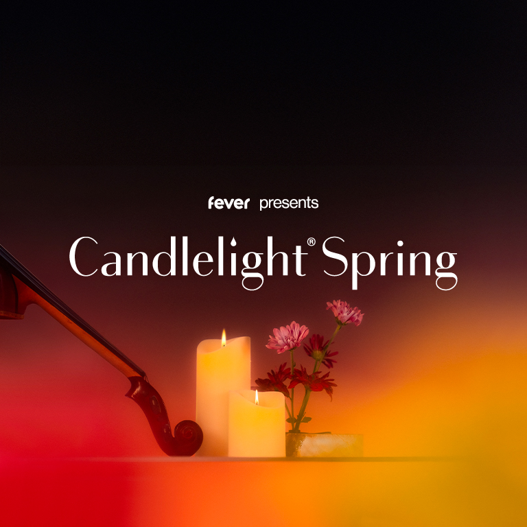 Candlelight: Tribute to Zara Larsson