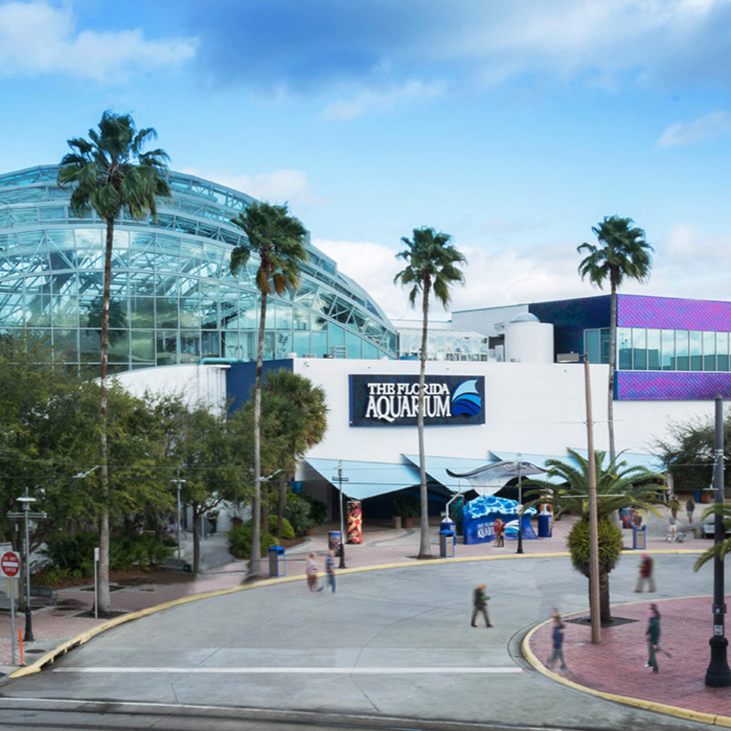 The Florida Aquarium: Entry Ticket