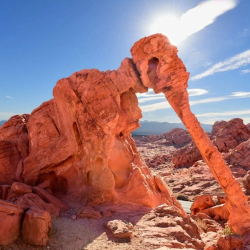 Valley of Fire, Seven Magic Mountains & Welcome to Las Vegas Sign: Guided Tour