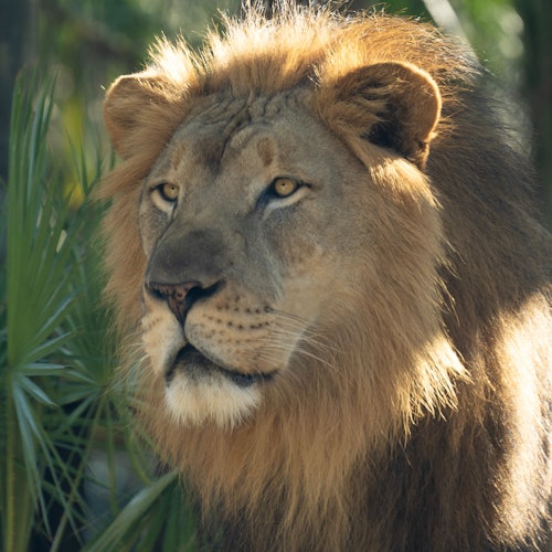 Brevard Zoo: Entry Ticket