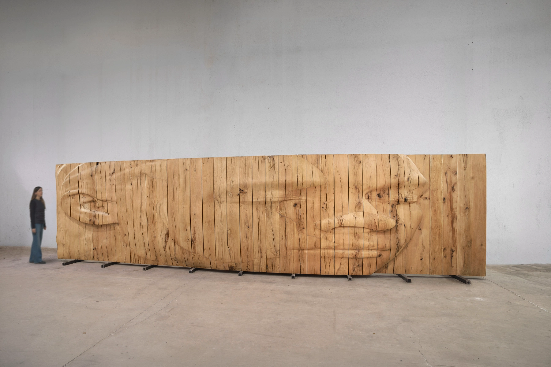 Jaume Plensa: Beyond Silence