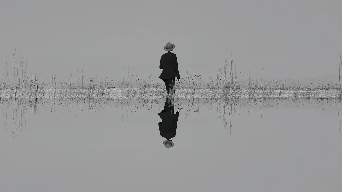 The Veils