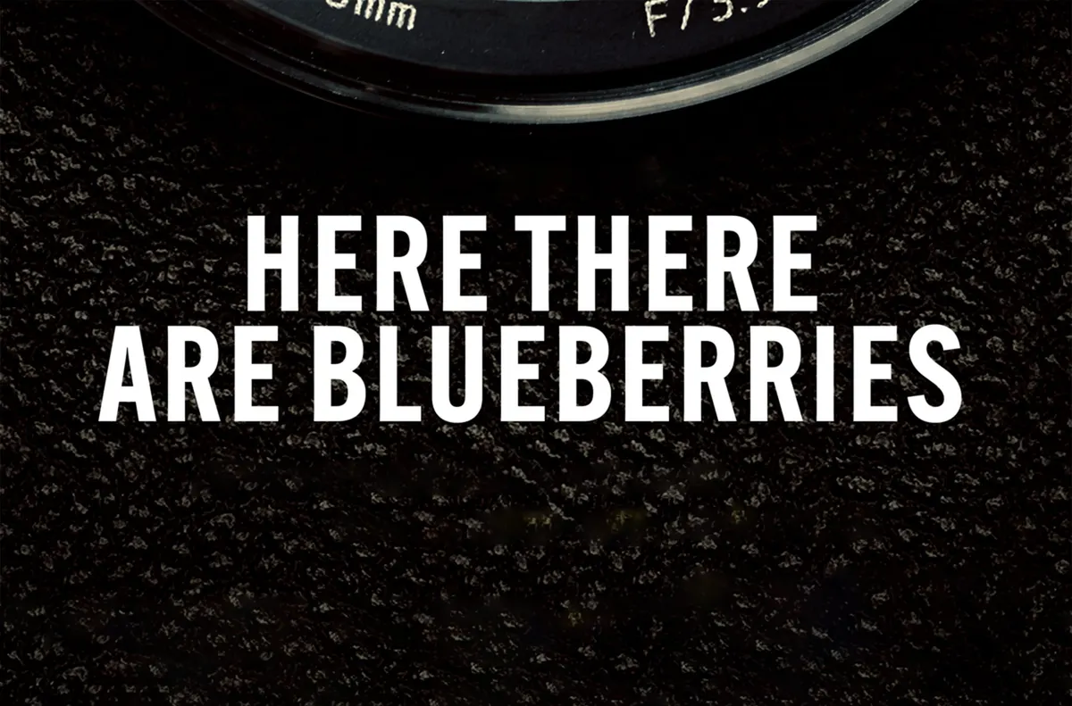 Here There Are Blueberries