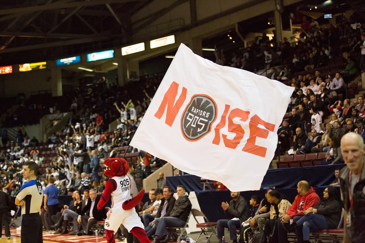 Raptors 905