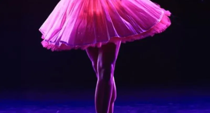 Ballet of Lights: Sleeping Beauty in a Sparkling Show