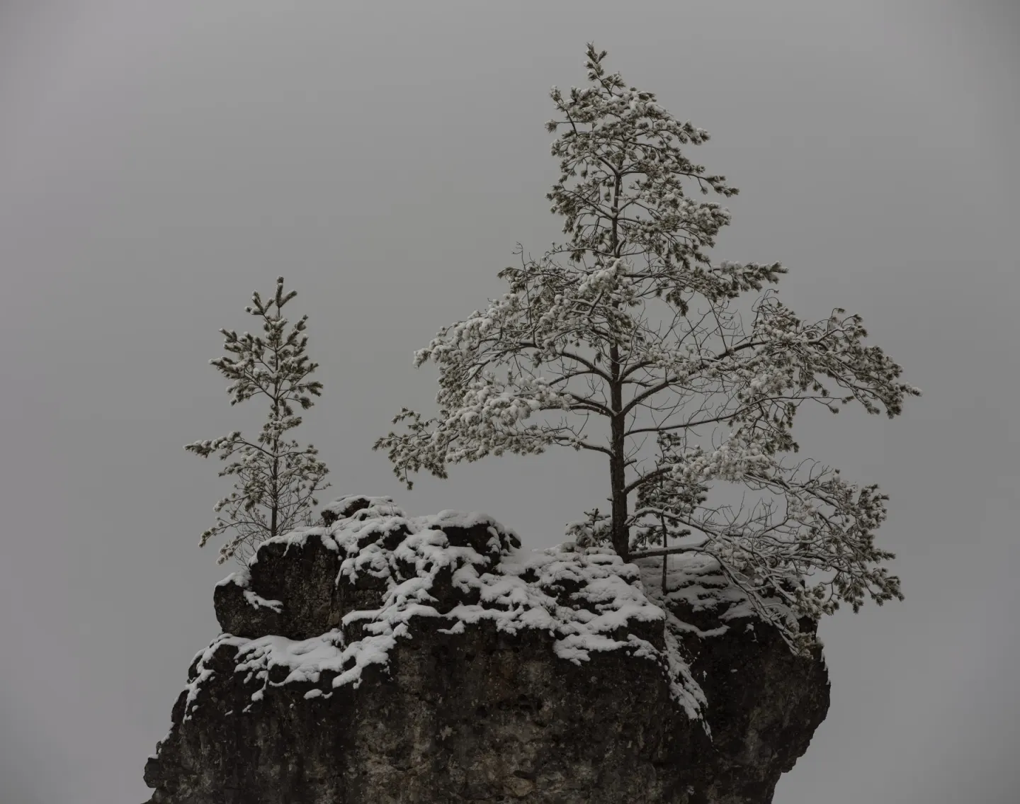 Michael Schnabel: Stille