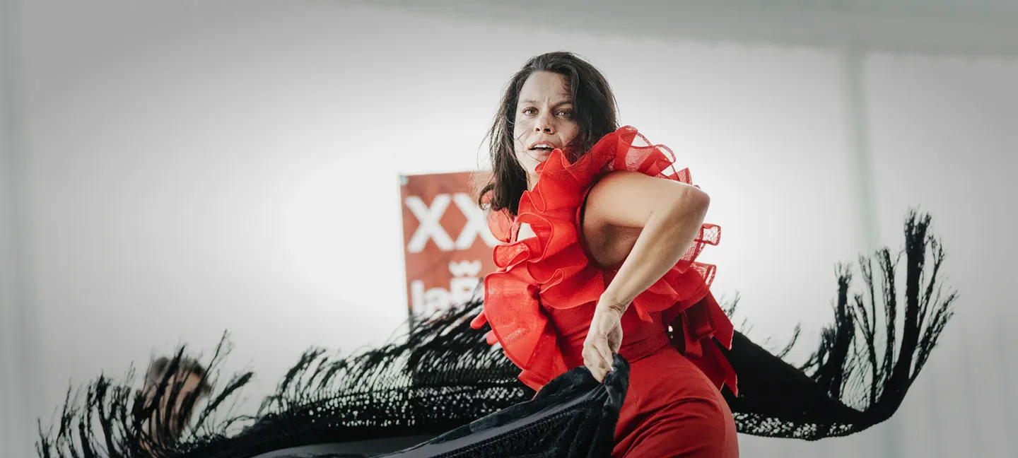 Flamenco Biennial