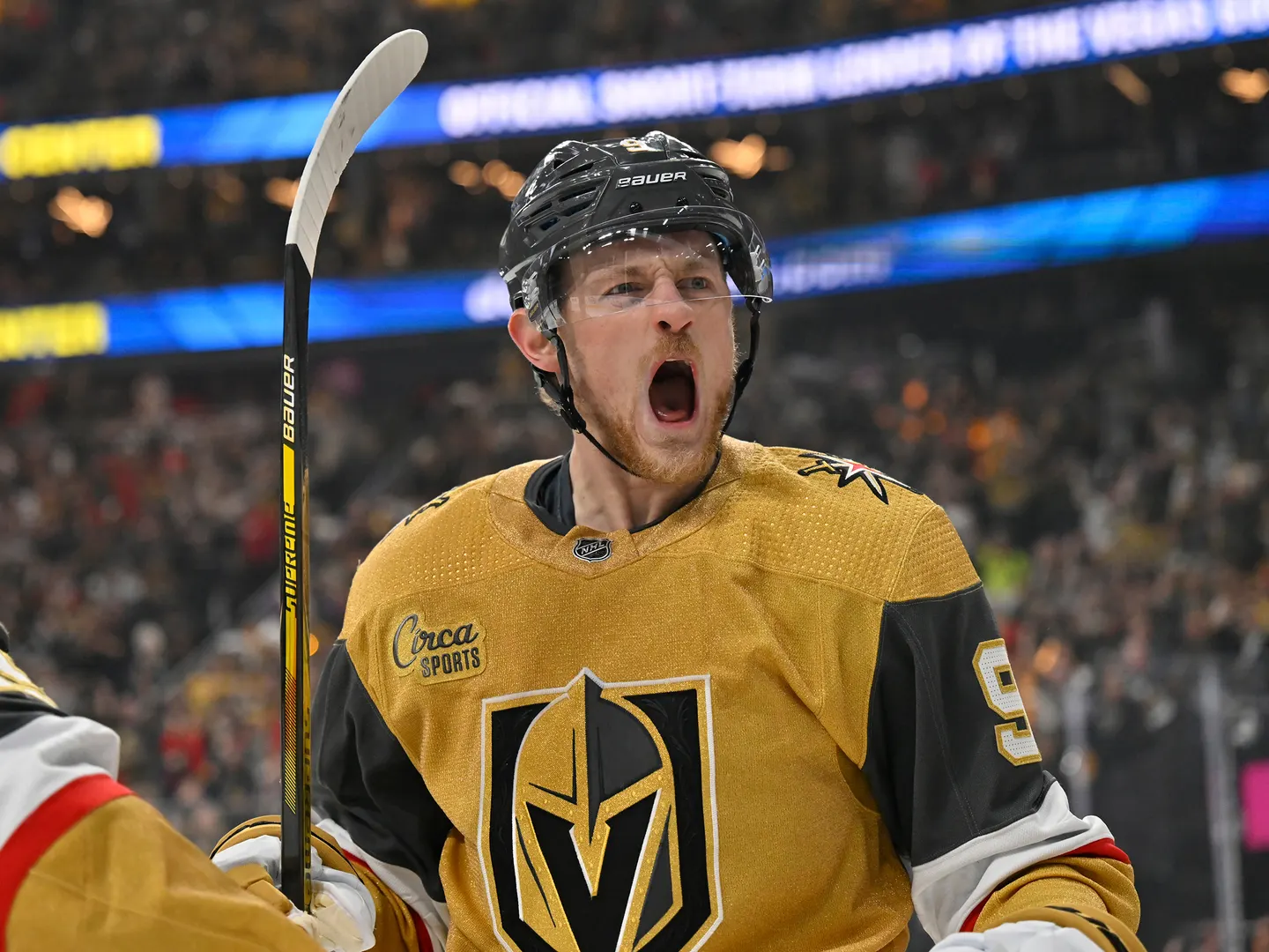 Vegas Golden Knights vs Anaheim Ducks