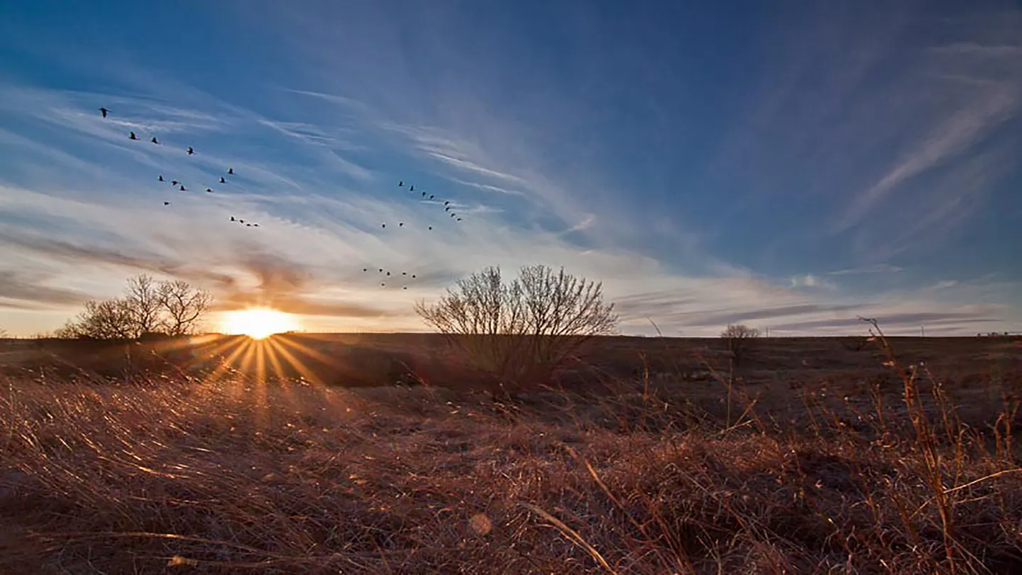 Pioneers Park Nature Center presents Twilight Trek - Fall Equinox