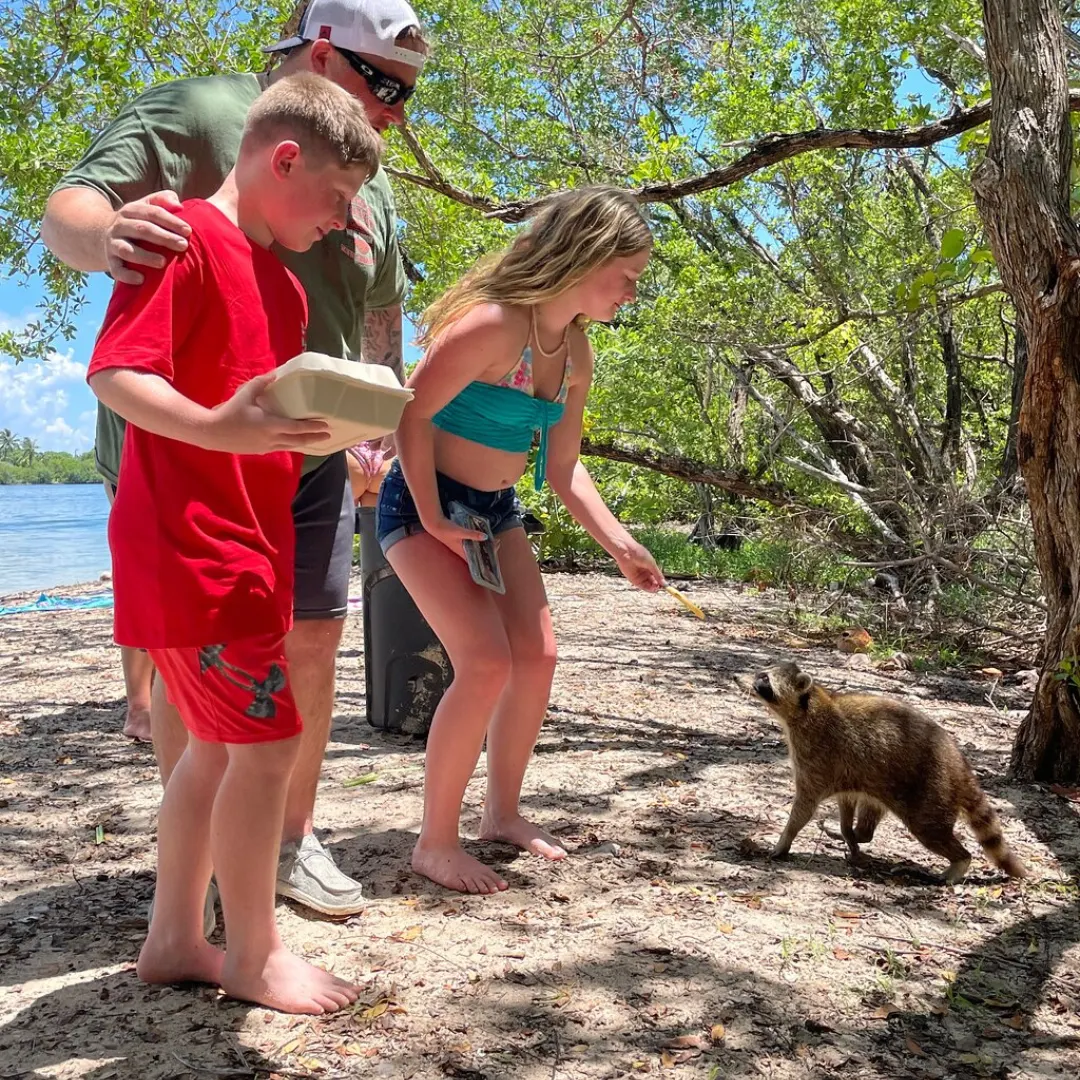 Boat Safari to Raccoon Island