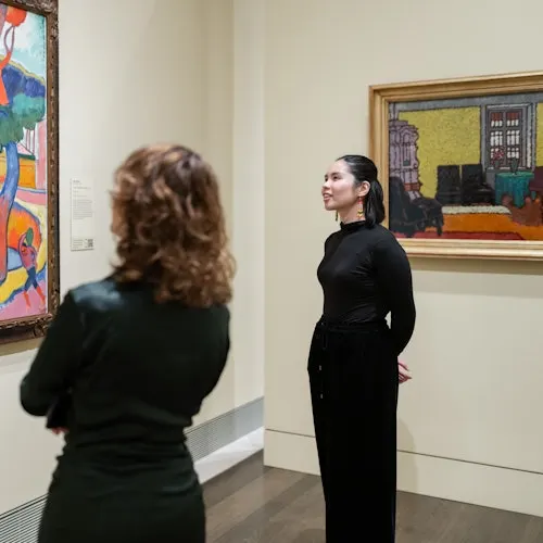 The Museum of Fine Arts, Houston: ALL ACCESS Ticket