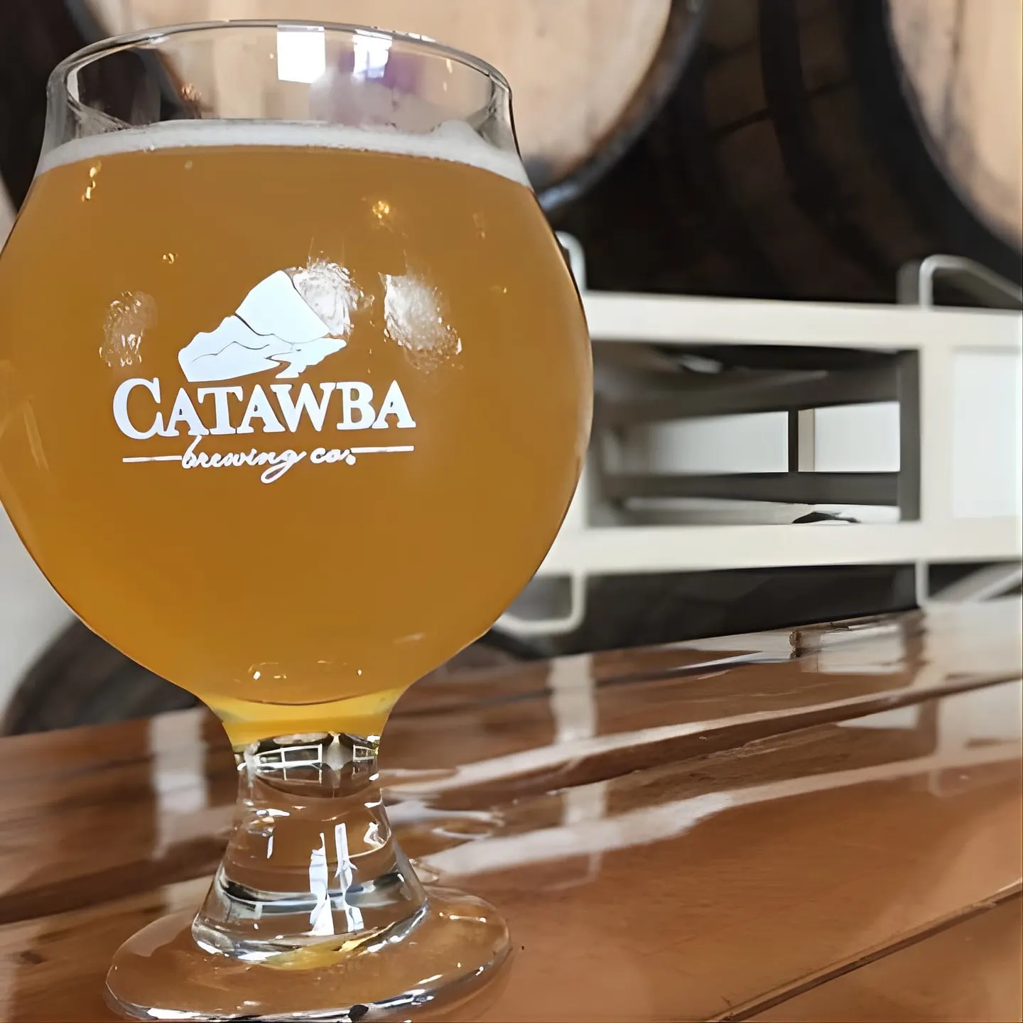 Downtown Asheville Guided Brewery Walking Tour