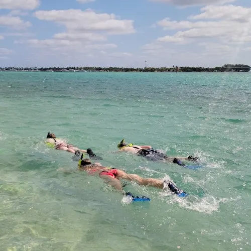 Miami: Island Snorkeling Tour by SUP or Kayak
