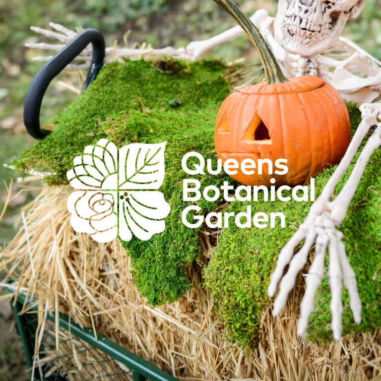 Halloween at Queens Botanical Garden 2026