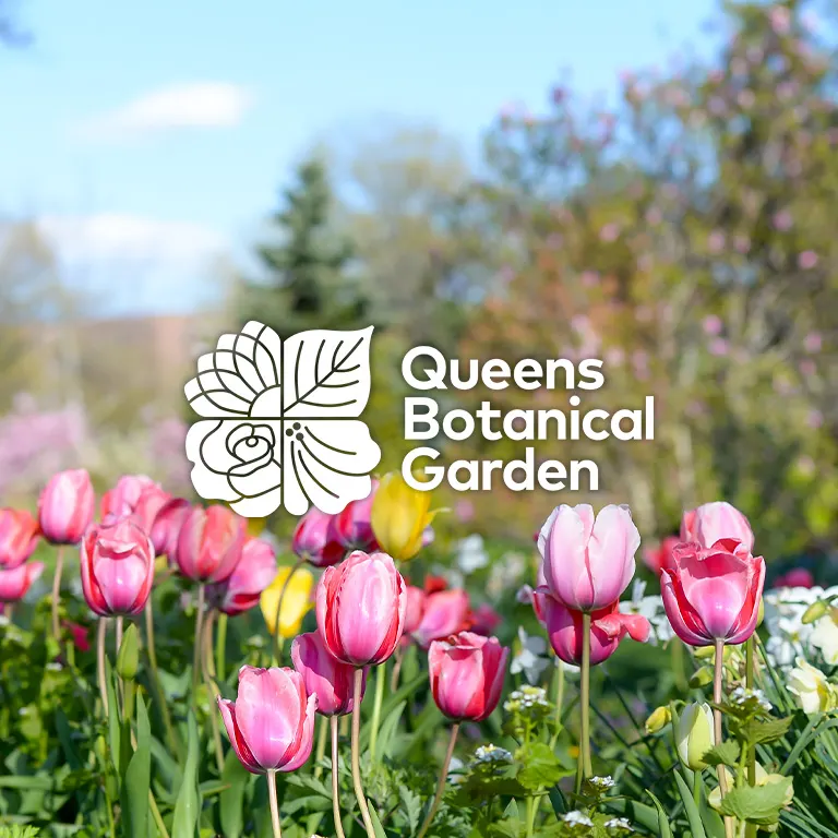 Queens Botanical Garden