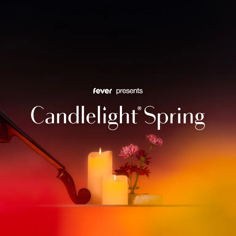Candlelight: Tribute to Zara Larsson
