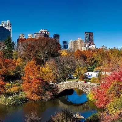 Shakespeare Outdoor Escape Game in New York Central Park