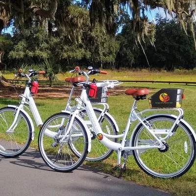 Village Bicycle Rental Free Delivery in The Villages Florida