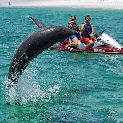 Crab Island Dolphin Jetski Adventure