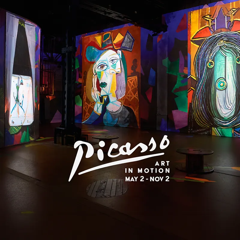Picasso: Art In Motion