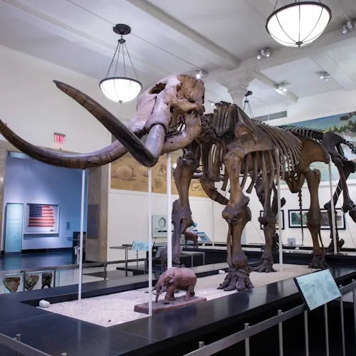 American Museum of Natural History (AMNH): All Ticketed Exhibitions