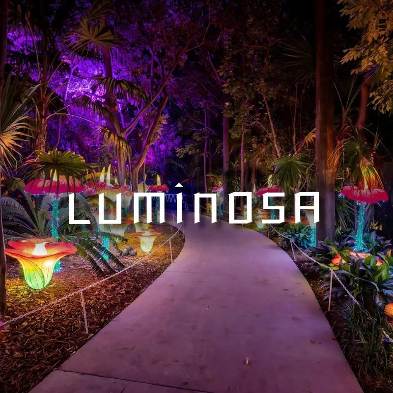 Luminosa 2026 — Miami, Reimagined in Light