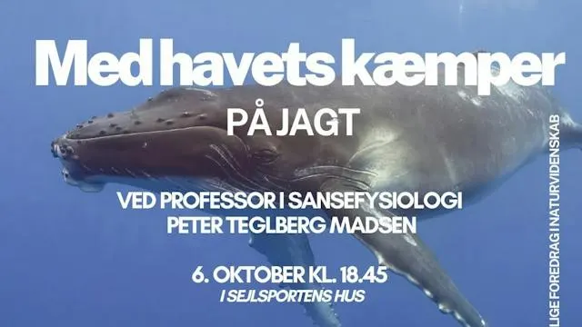 Med havets kæmper på jagt - Offentlige foredrag i naturvidenskab