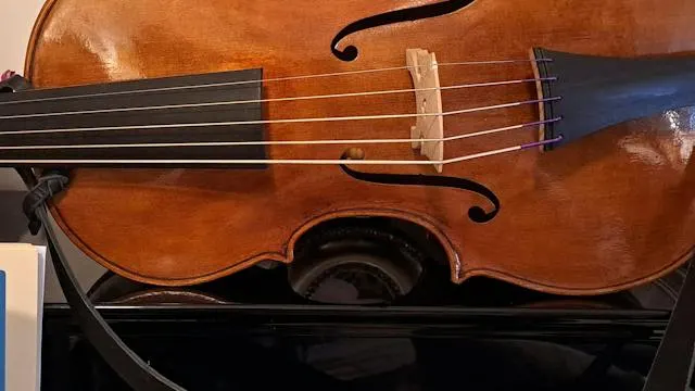 Incanto e Passione , Violoncello da spalla e pianoforte