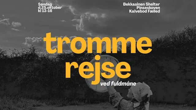 Trommerejse i Pinseskoven ved Fuldmåne
