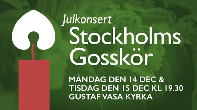 Julkonsert med Stockholms Gosskör