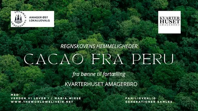 CACAO FRA PERU – Fra Bønne til Fortælling