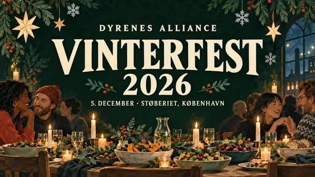 Vinterfest! ❄️