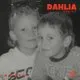 DAHLIA Stereo Sessions: The Kozubik Brothers