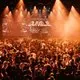 The History of Jungle (SOLD OUT)