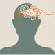The Science of ADHD Navigating neurodiversity in a neurotypical
