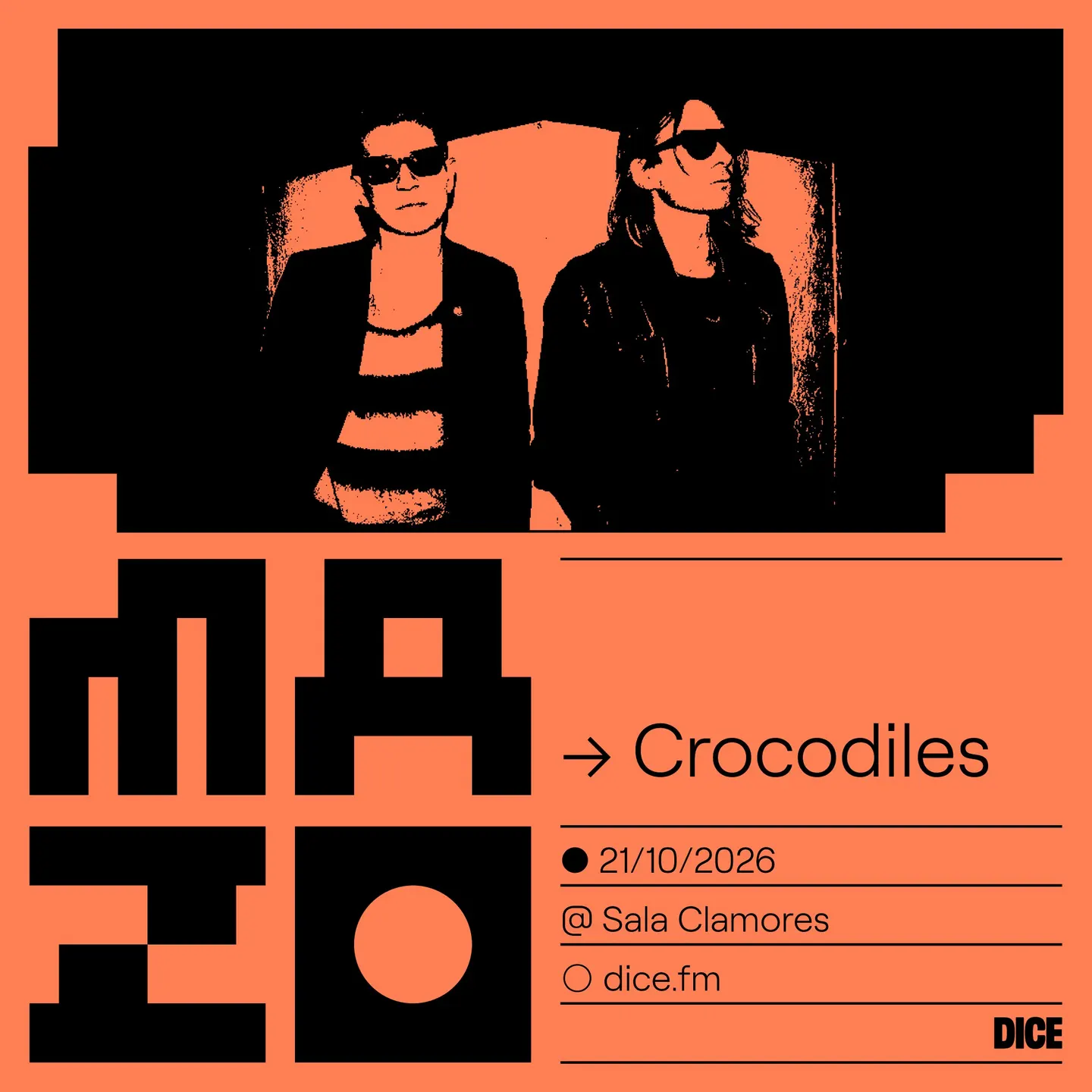 Crocodiles en MAZO