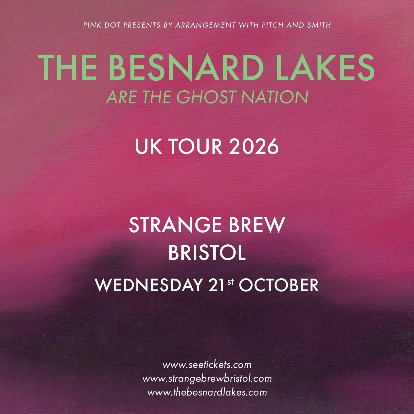The Besnard Lakes