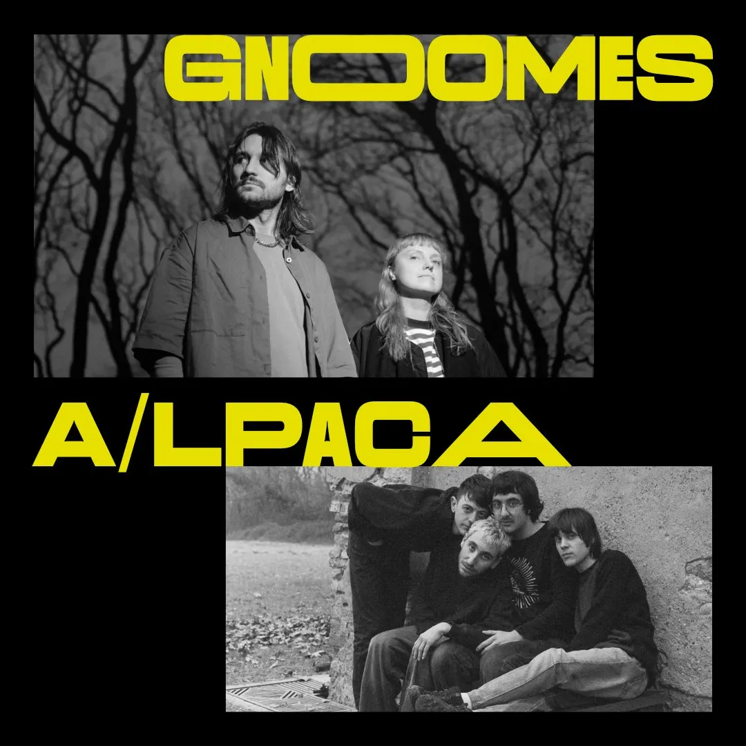 Gnoomes + a/lpaca
