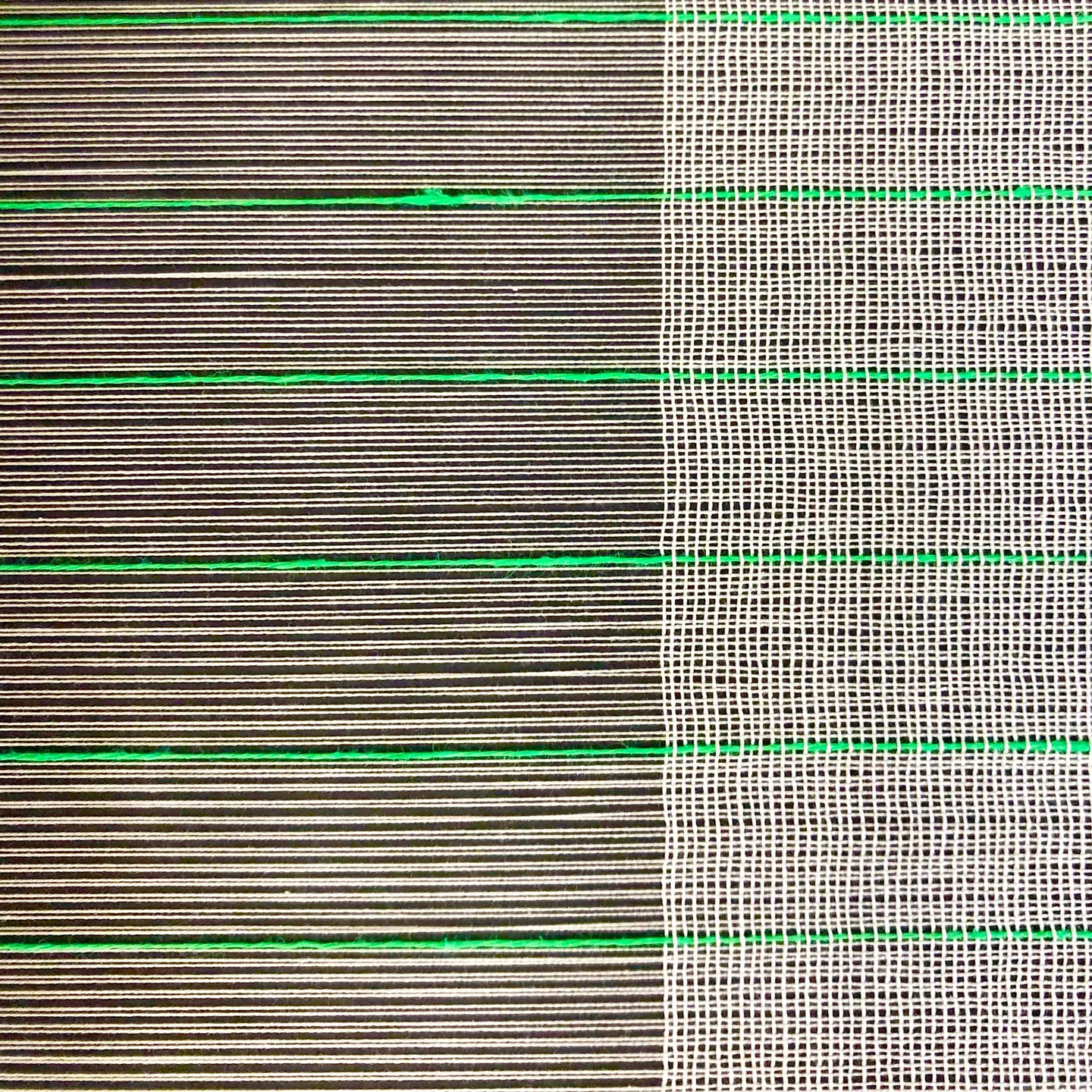 The Opening Reception of LOOMSTATE by The Weaving Mill