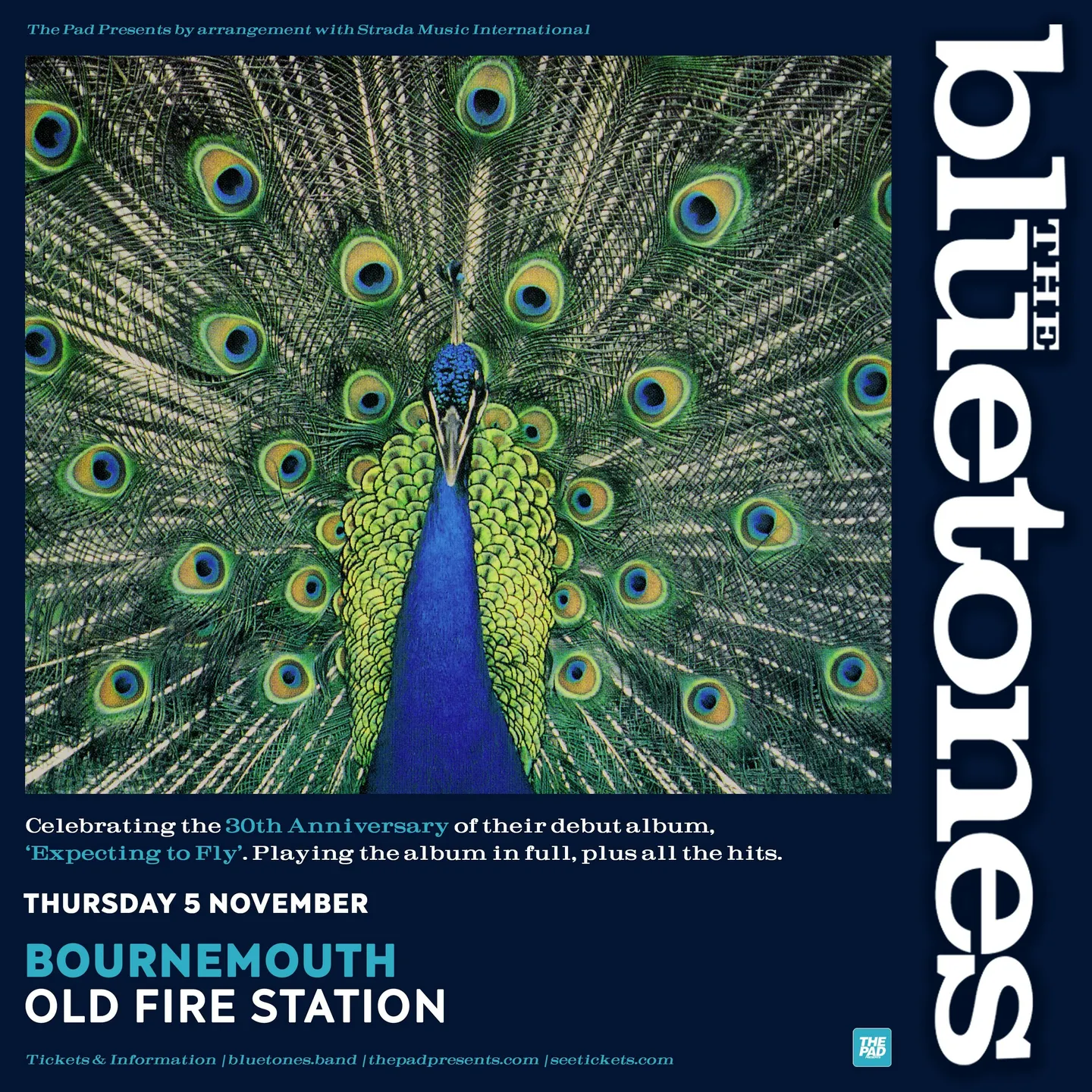 The Bluetones