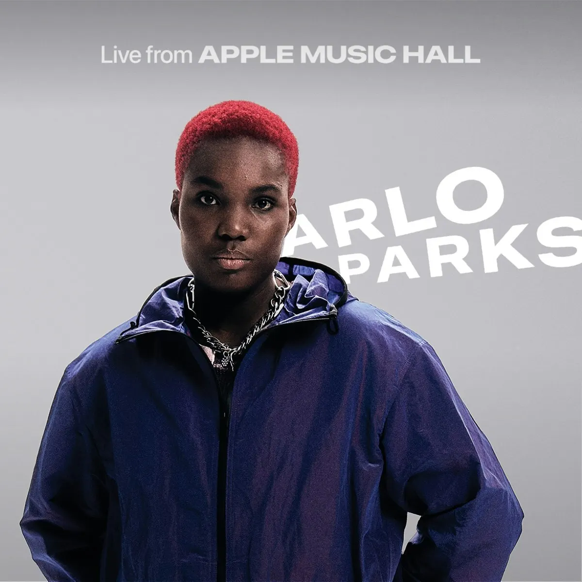 Arlo Parks