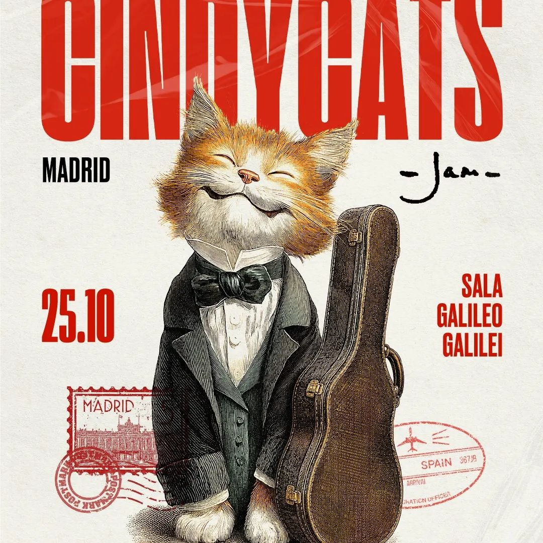 Cindy Cats