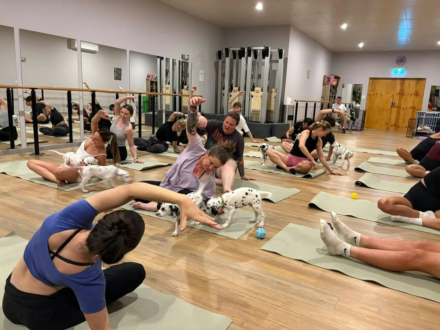 Ballarat Puppy Yoga Class