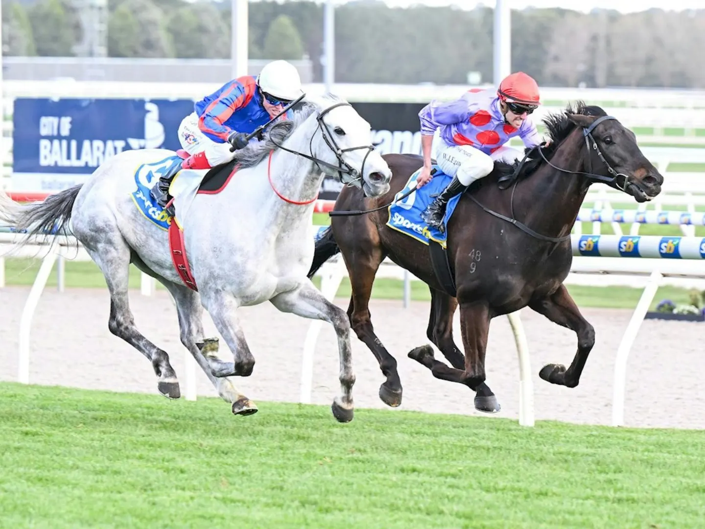 Sportsbet Gold Nugget Day