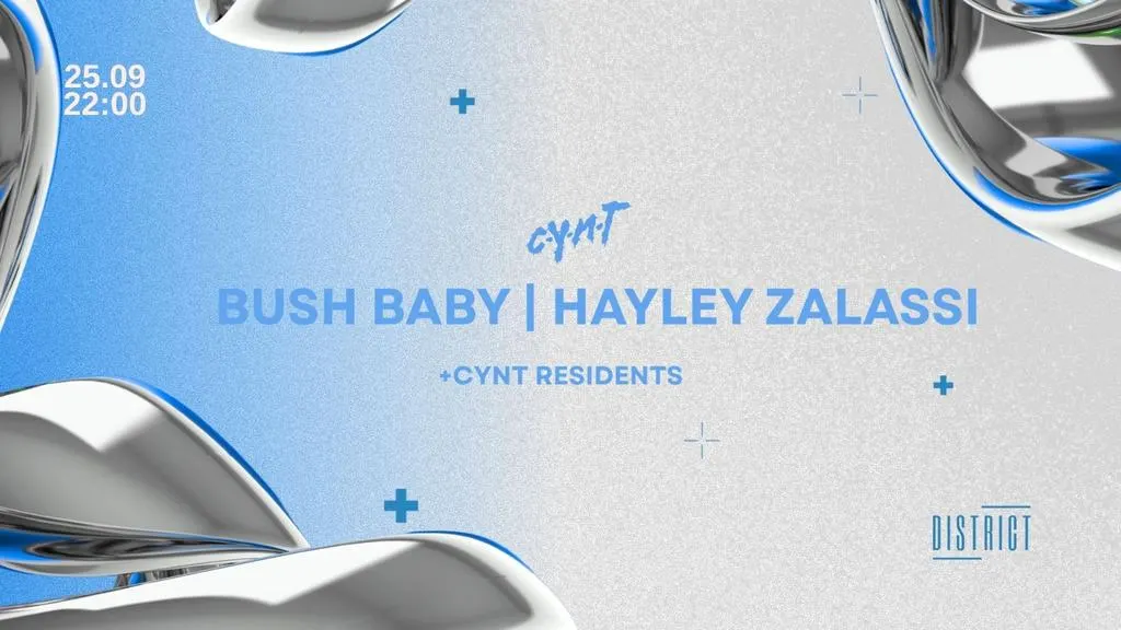 CYNT w/ Bushbaby , Hayley Zalassi + More