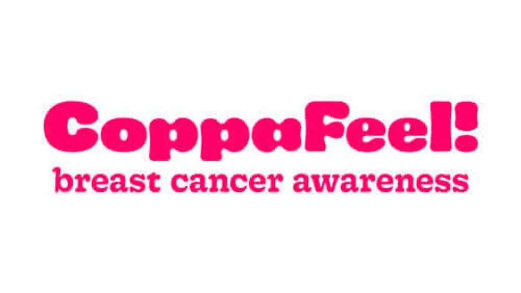 Breast Cancer Awareness Run ๐๐๏ธ