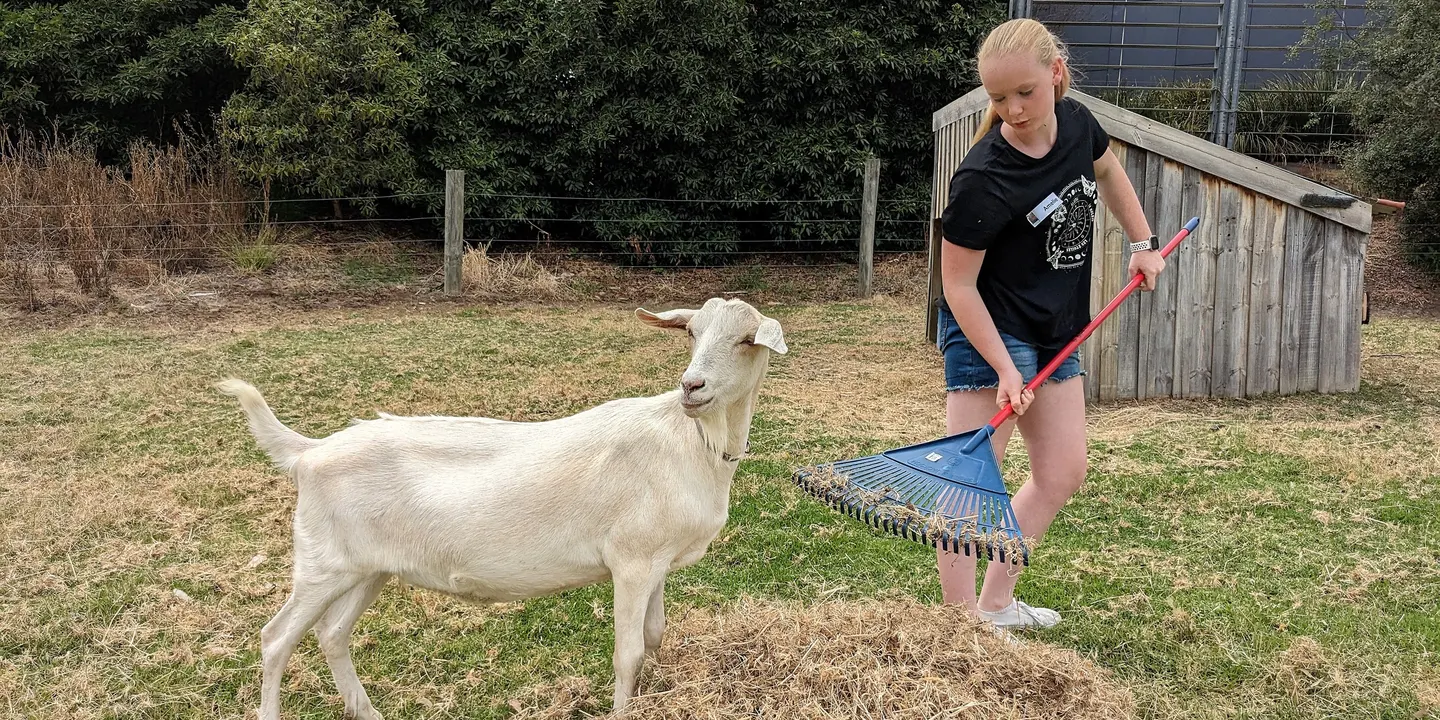 Junior Animal Attendant Day (7 - 12 years) Spring