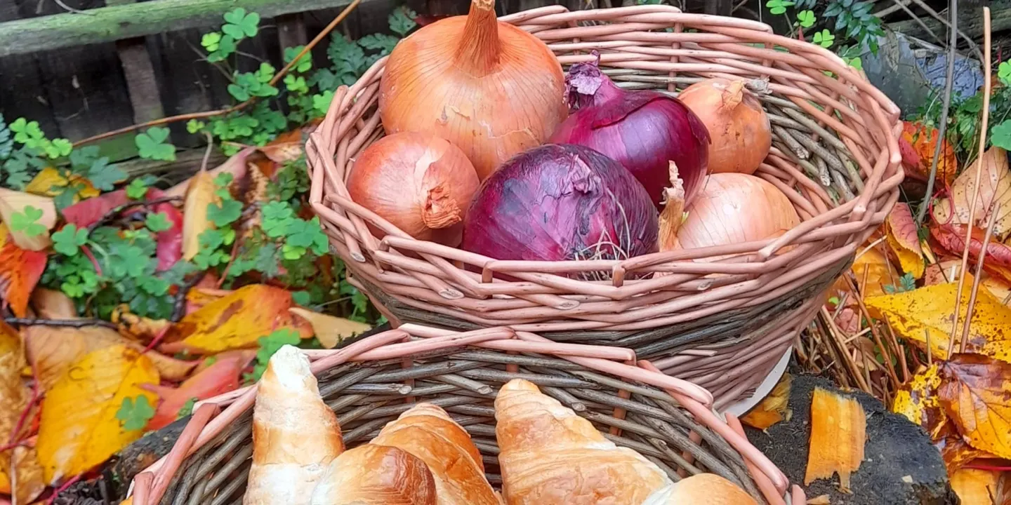 Introduction to Basket Making