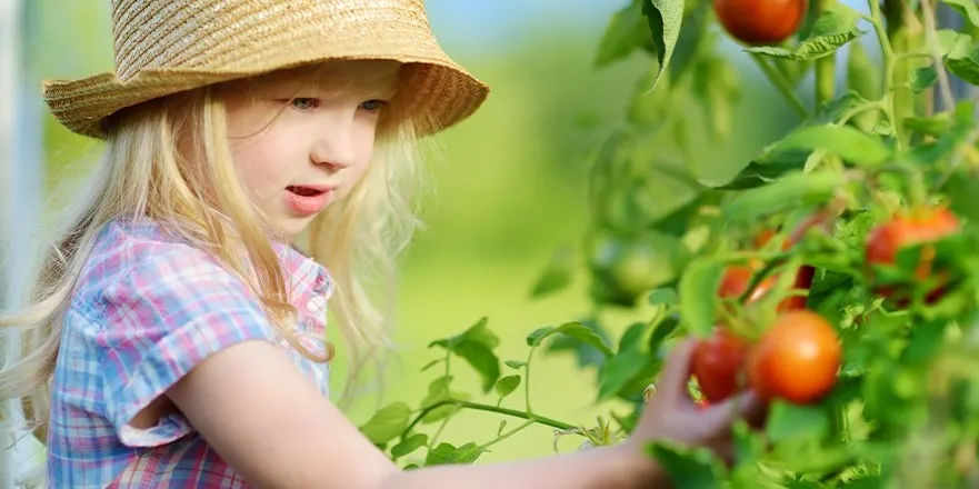 Veg out! Food gardening workshop for early years educators